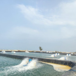 tambak 10.jpg